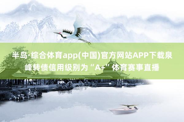 半岛·综合体育app(中国)官方网站APP下载泉峰转债信用级别为“A+”体育赛事直播