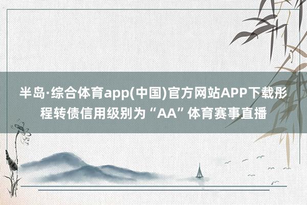 半岛·综合体育app(中国)官方网站APP下载彤程转债信用级别为“AA”体育赛事直播