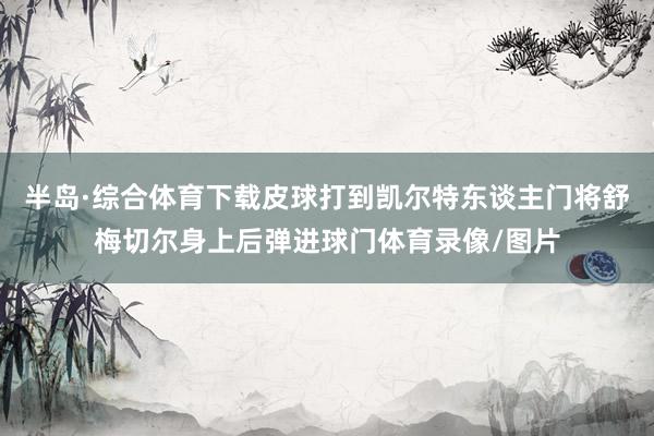 半岛·综合体育下载皮球打到凯尔特东谈主门将舒梅切尔身上后弹进球门体育录像/图片